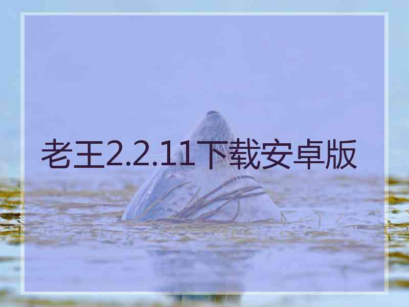 老王2.2.11下载安卓版