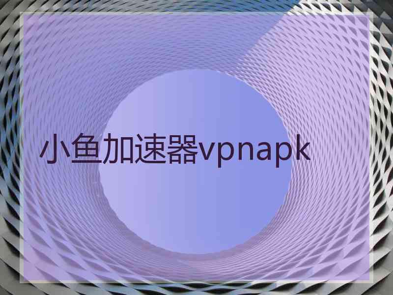 小鱼加速器vpnapk
