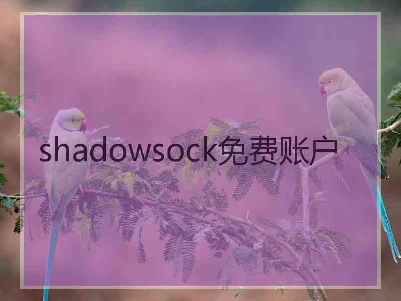 shadowsock免费账户
