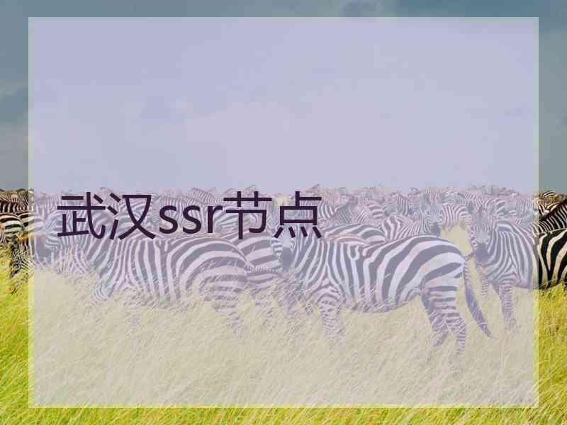 武汉ssr节点