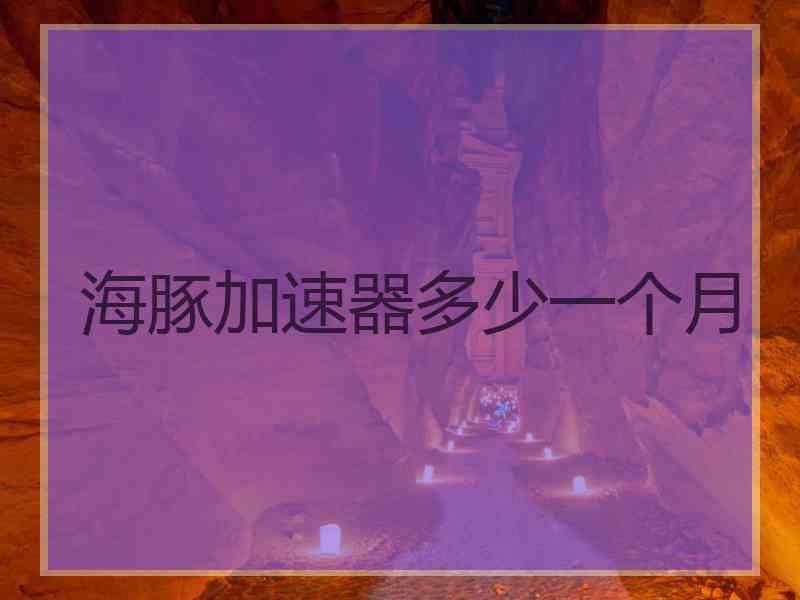海豚加速器多少一个月