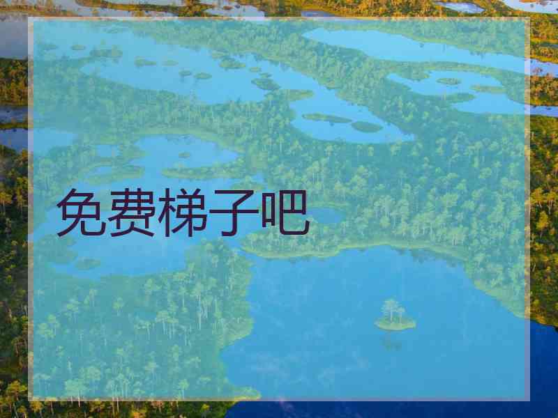 免费梯子吧