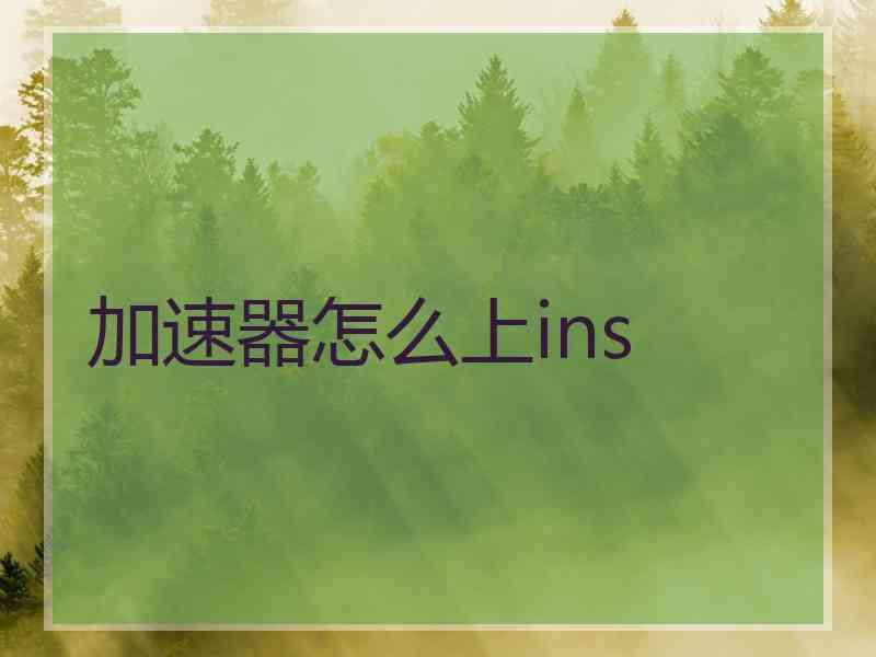 加速器怎么上ins