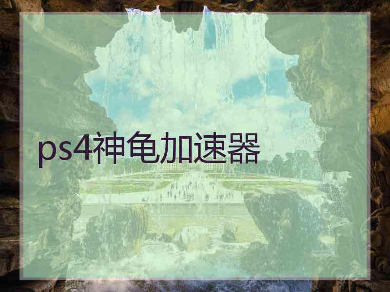 ps4神龟加速器