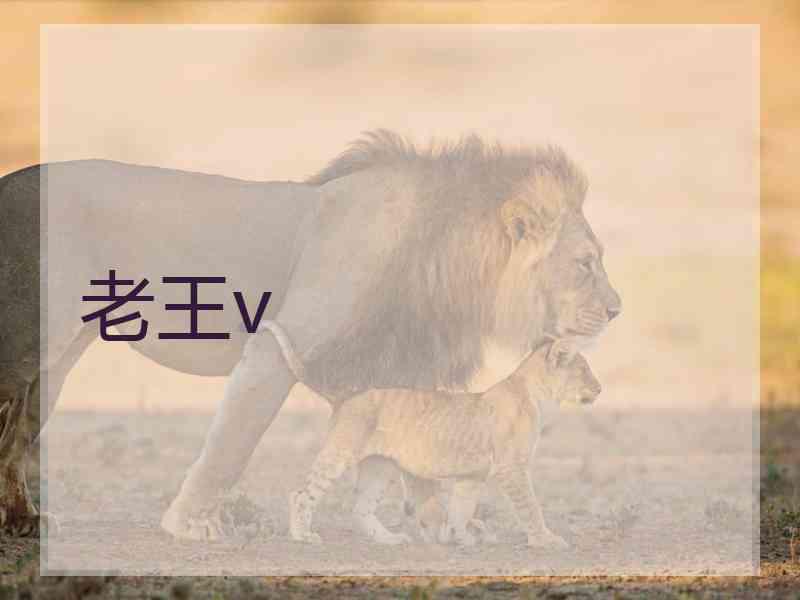 老王v