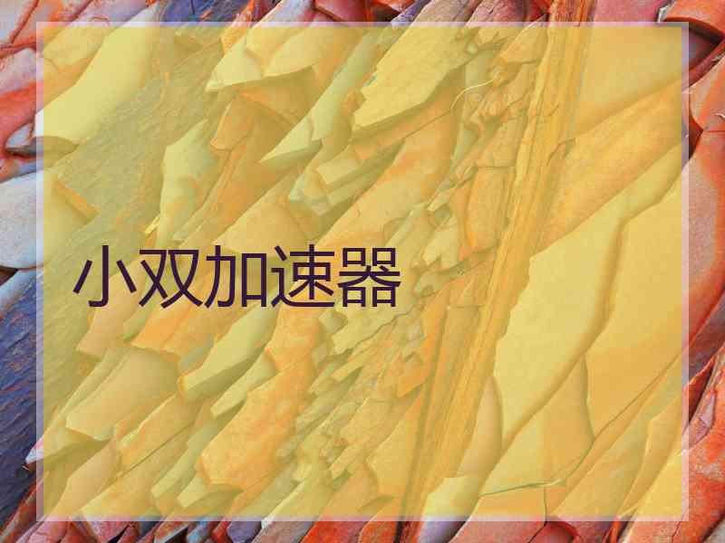 小双加速器