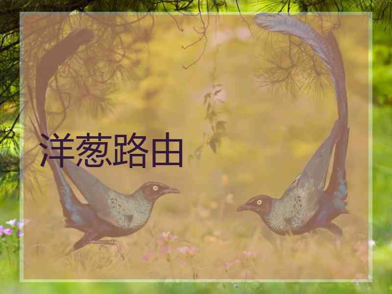 洋葱路由