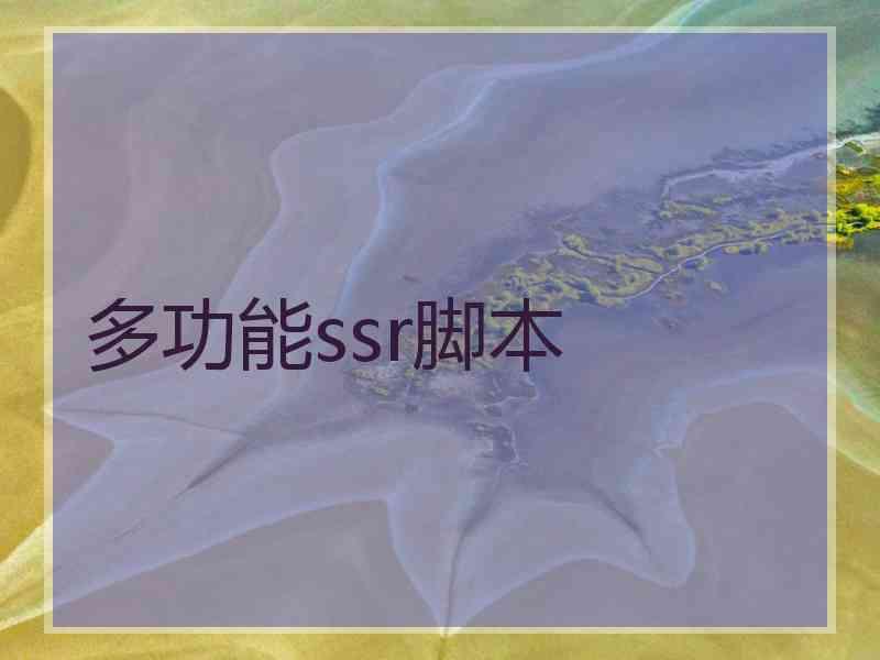多功能ssr脚本
