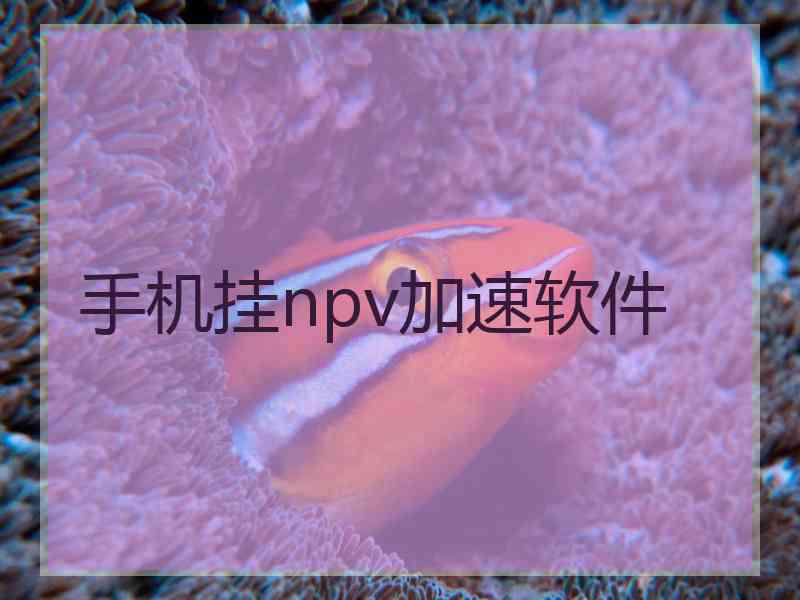 手机挂npv加速软件