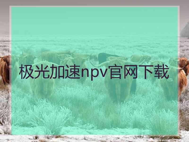 极光加速npv官网下载