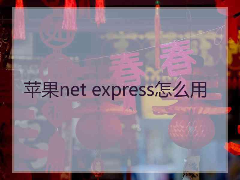 苹果net express怎么用