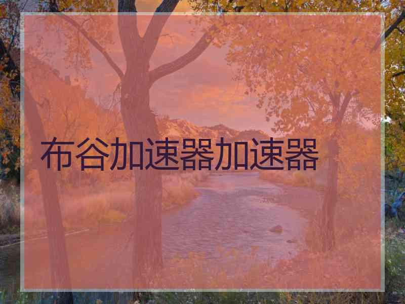 布谷加速器加速器