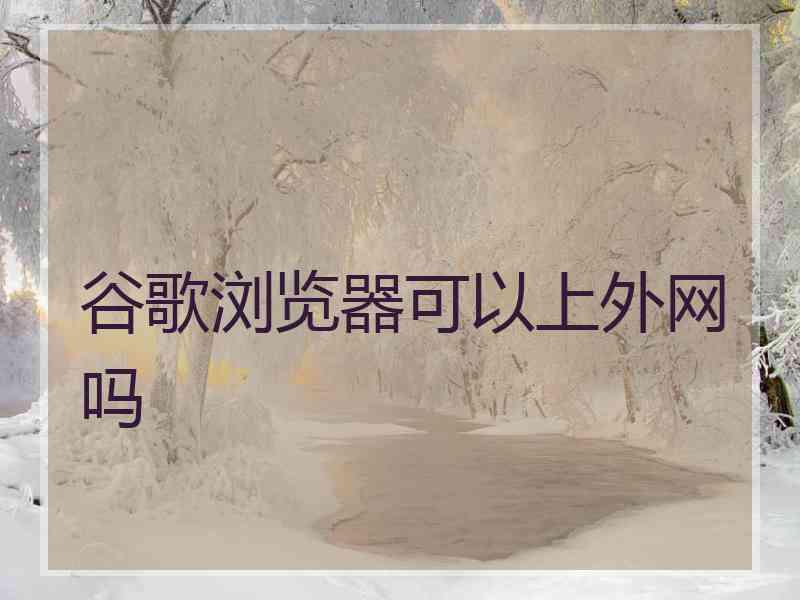 谷歌浏览器可以上外网吗
