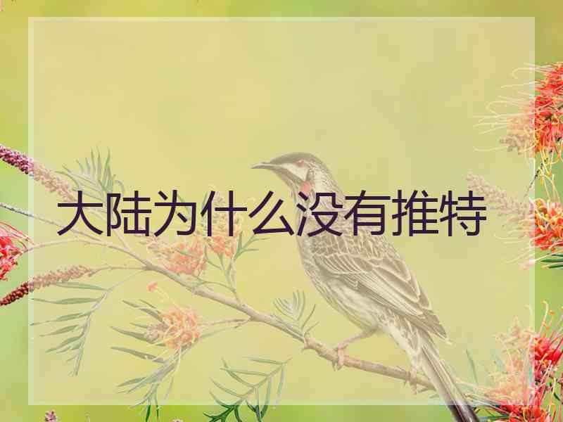 大陆为什么没有推特