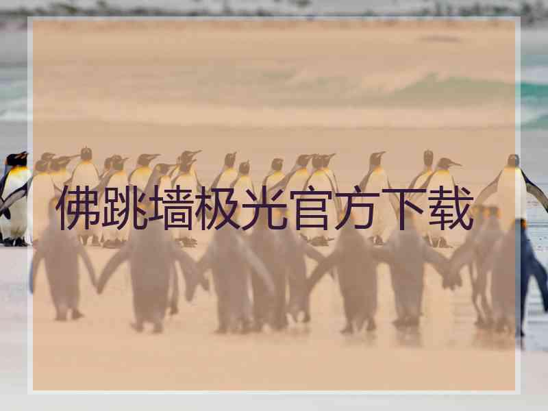 佛跳墙极光官方下载