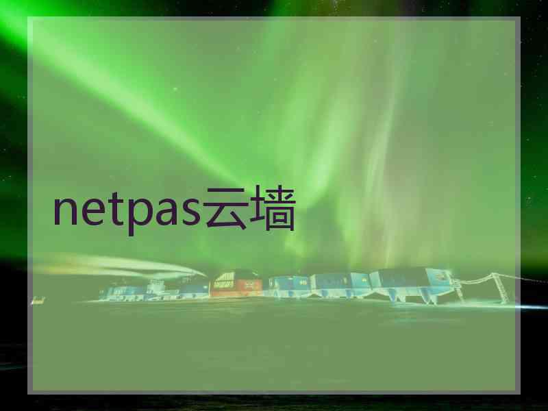 netpas云墙