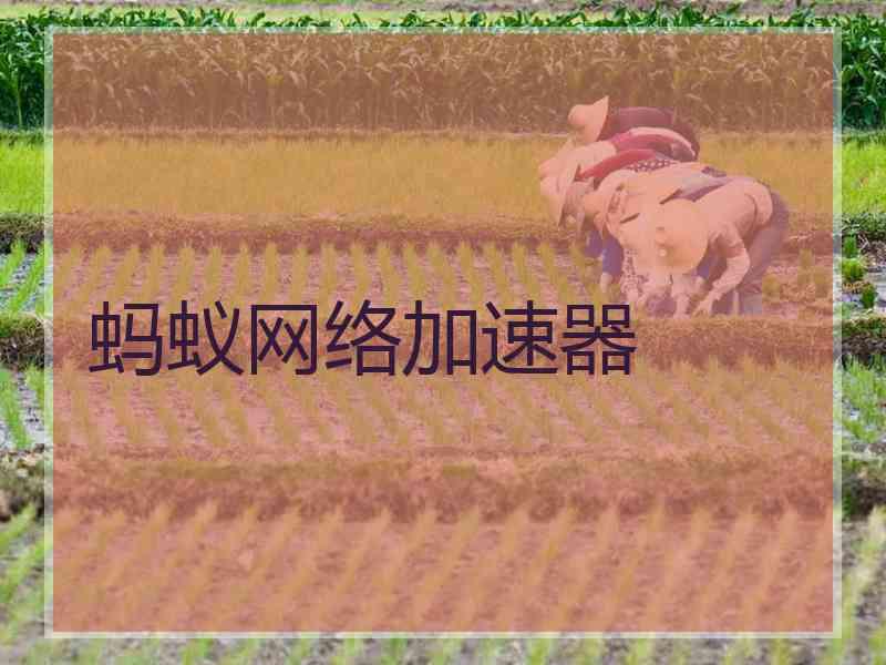 蚂蚁网络加速器