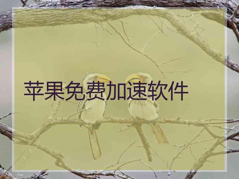 苹果免费加速软件