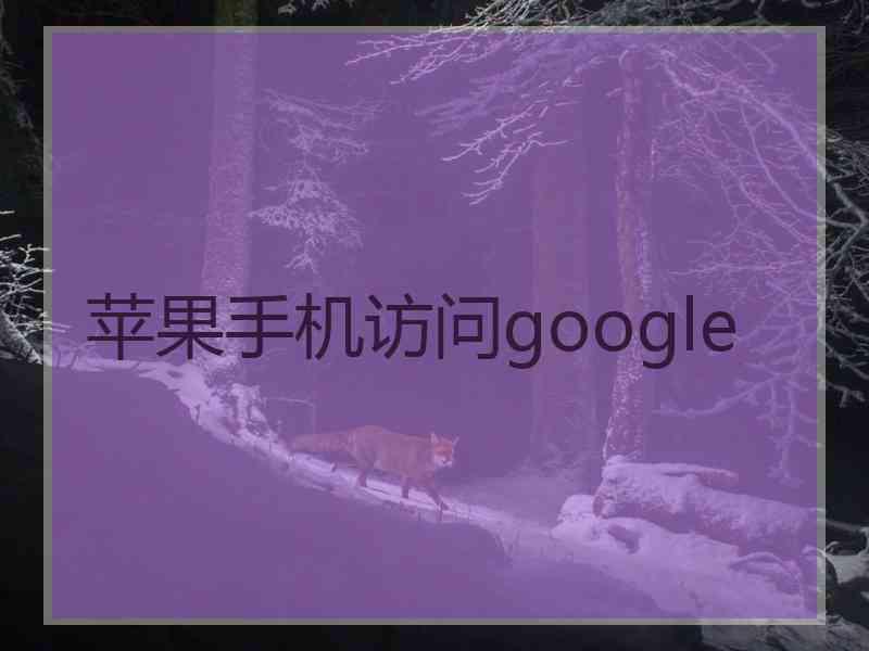 苹果手机访问google