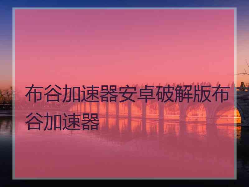 布谷加速器安卓破解版布谷加速器