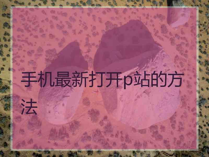 手机最新打开p站的方法