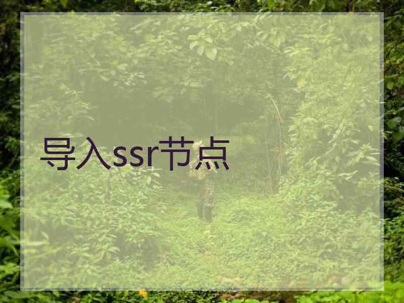 导入ssr节点