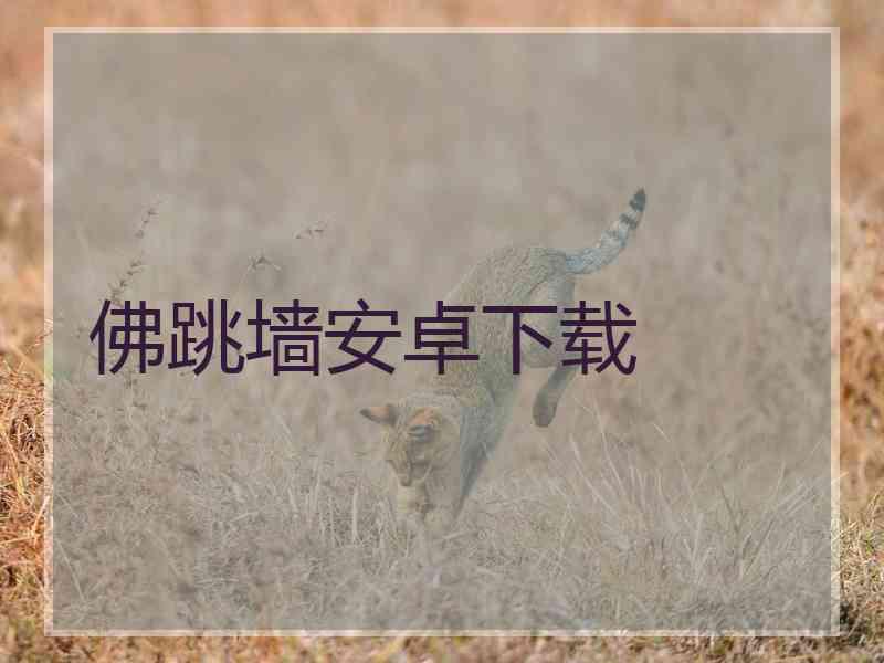 佛跳墙安卓下载