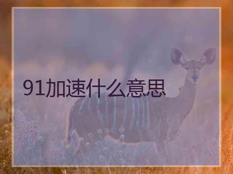 91加速什么意思