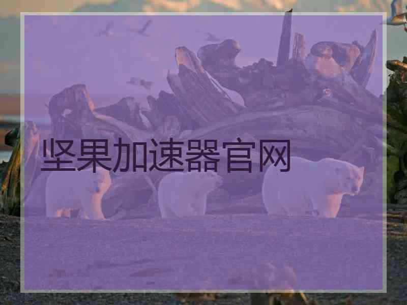 坚果加速器官网