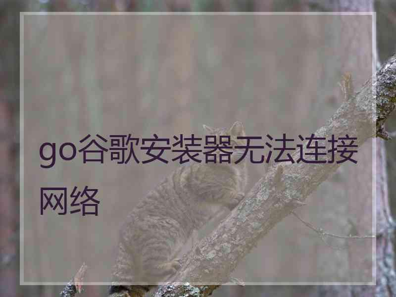 go谷歌安装器无法连接网络