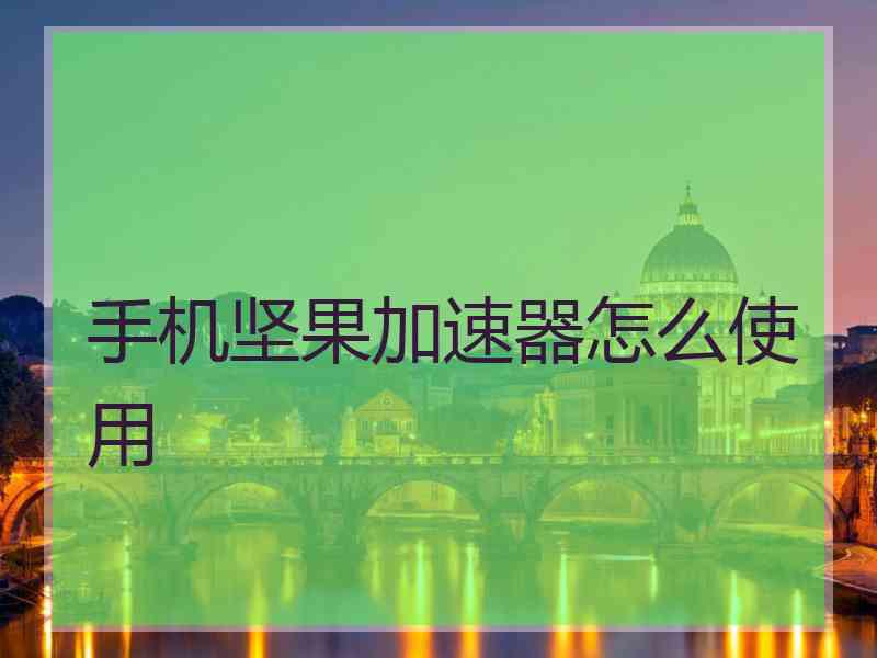 手机坚果加速器怎么使用