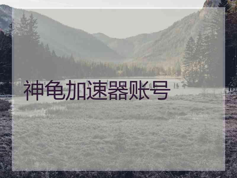 神龟加速器账号