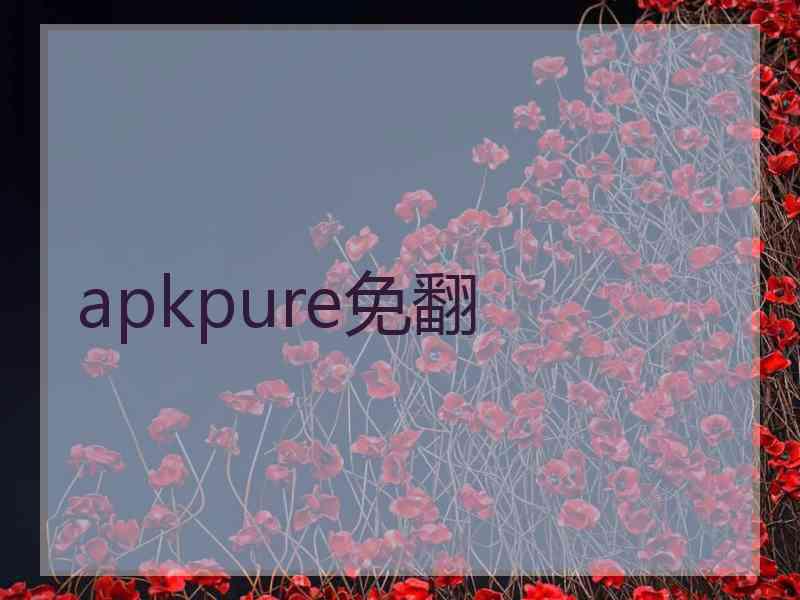 apkpure免翻