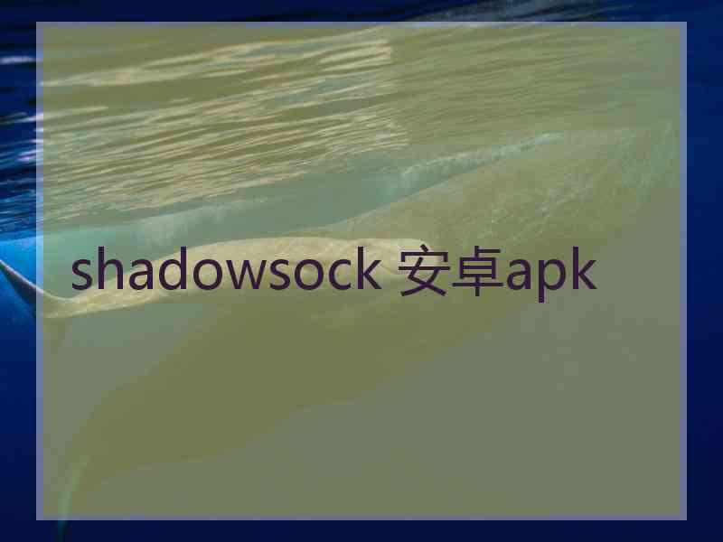 shadowsock 安卓apk