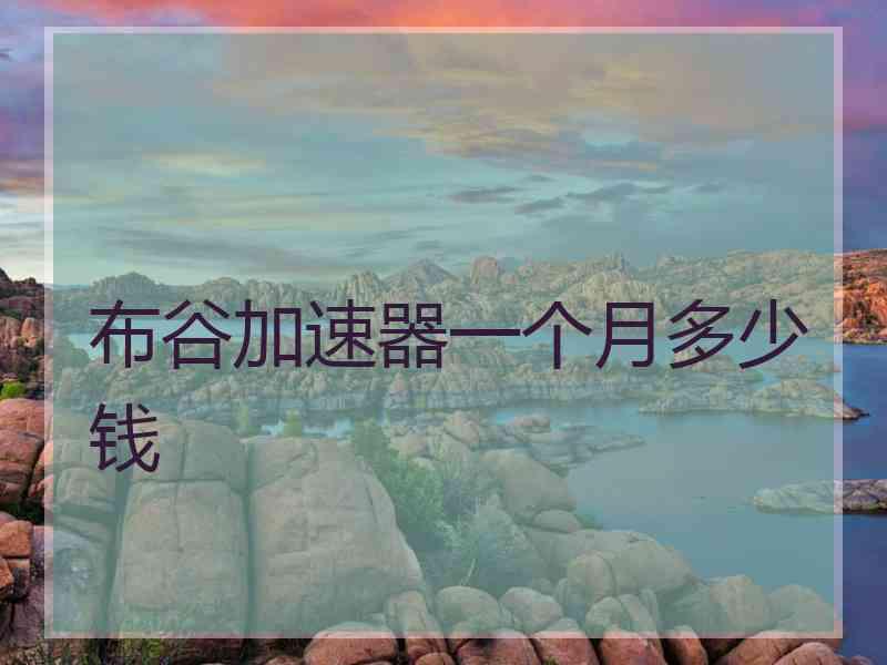 布谷加速器一个月多少钱