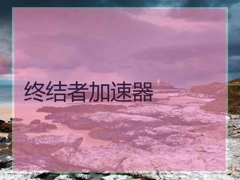 终结者加速器