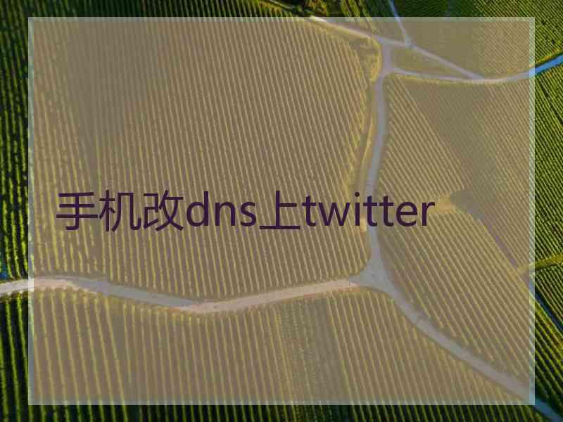 手机改dns上twitter