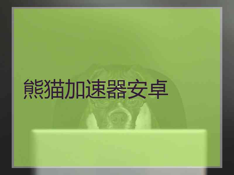 熊猫加速器安卓