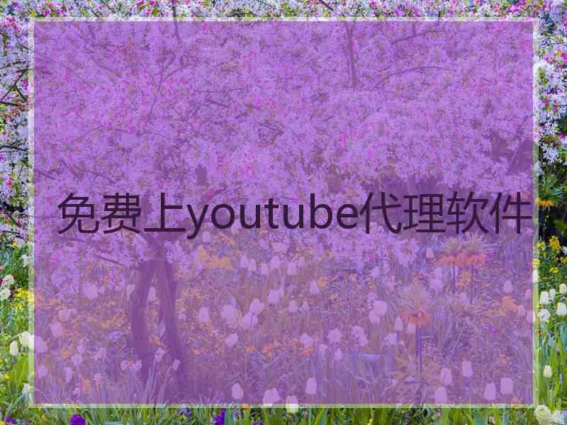 免费上youtube代理软件