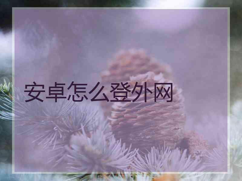 安卓怎么登外网