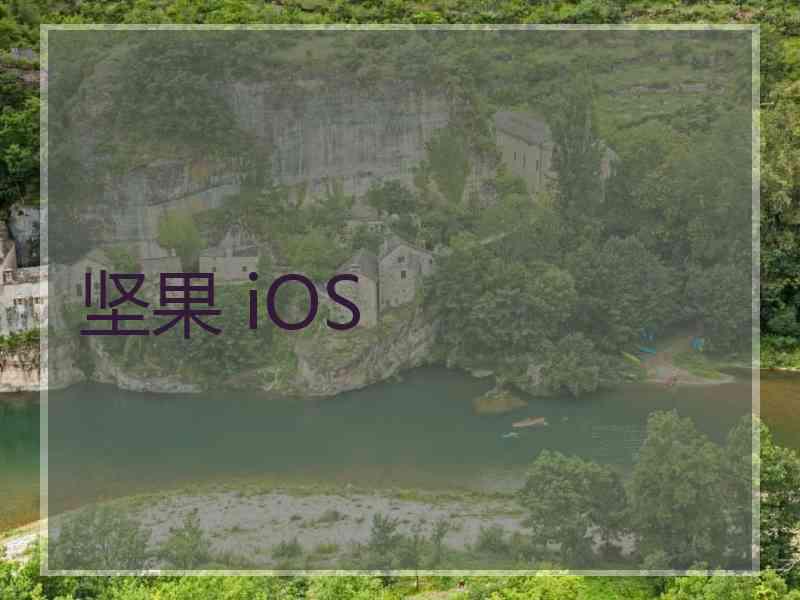 坚果 iOS