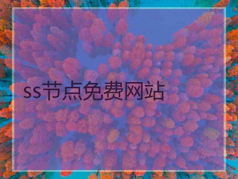 ss节点免费网站