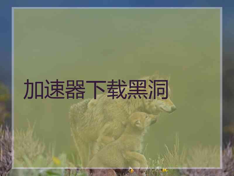 加速器下载黑洞