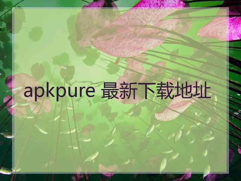 apkpure 最新下载地址
