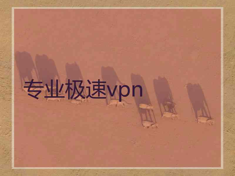 专业极速vpn