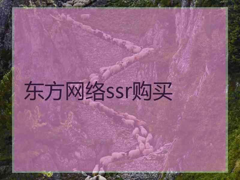 东方网络ssr购买