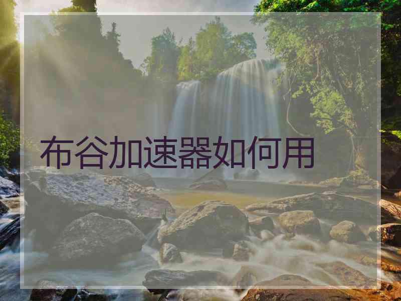 布谷加速器如何用