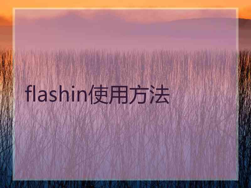 flashin使用方法