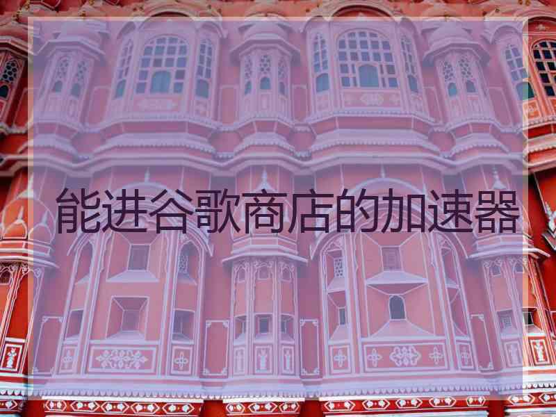 能进谷歌商店的加速器