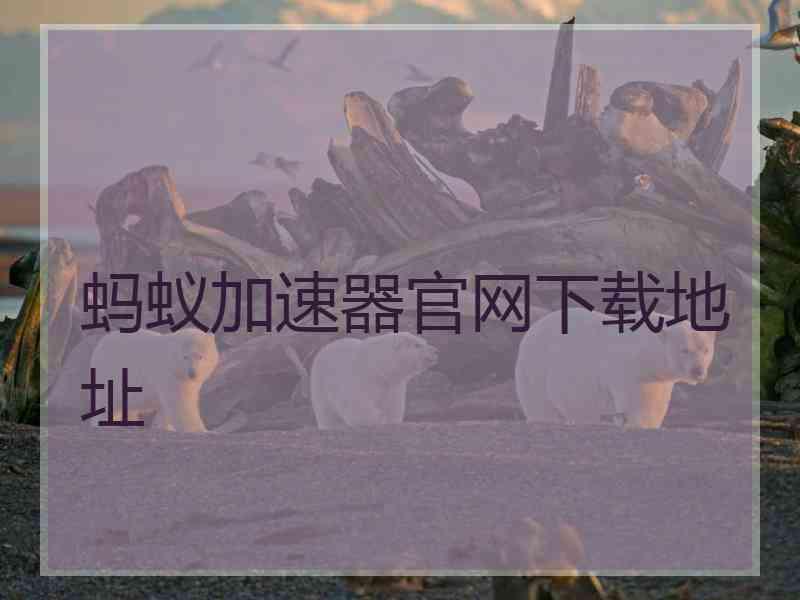 蚂蚁加速器官网下载地址